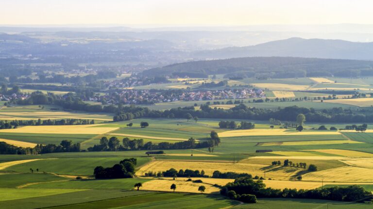 Land Buyers and Land Sellers